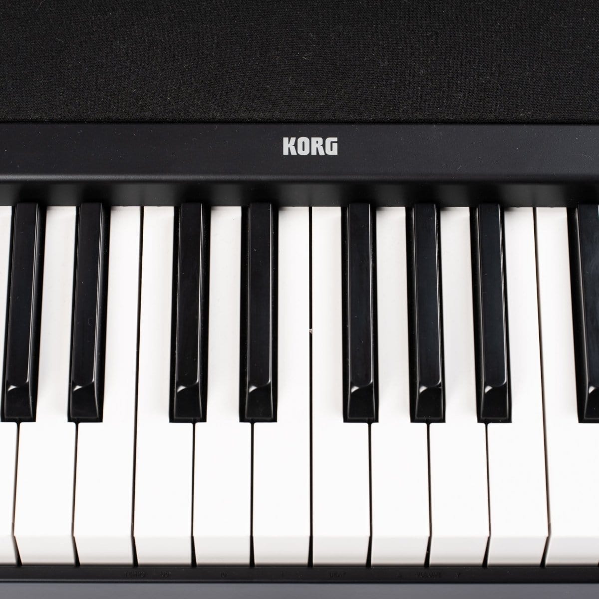 Korg B2BK 88-Note Digital Piano with Speakers Pianos/Keyboards KORG USA - RiverCity Rockstar Academy Music Store, Salem Keizer Oregon