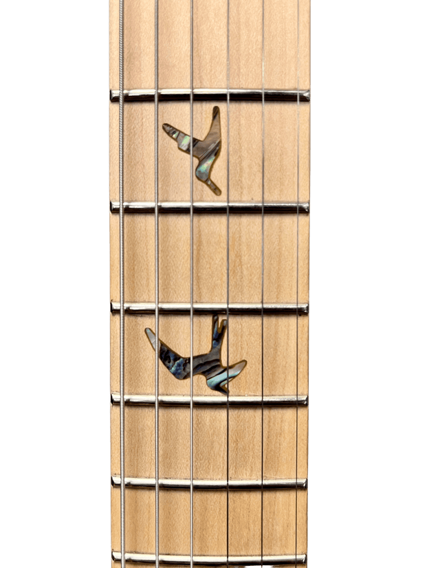 PRS SE NF53 White Doghair Electric Guitar Electric Guitars PRS Guitars - RiverCity Rockstar Academy Music Store, Salem Keizer Oregon