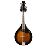 Used Tanglewood Mandolin Teardrop Solid Spruce Top Mandolins Tanglewood - RiverCity Rockstar Academy Music Store, Salem Keizer Oregon