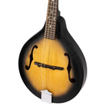 Used Ortega RMA5VS Mandolin