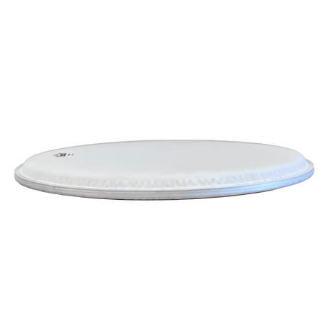 Remo Coated Low Collar Banjo Head 11 Drum Heads Remo - RiverCity Rockstar Academy Music Store, Salem Keizer Oregon